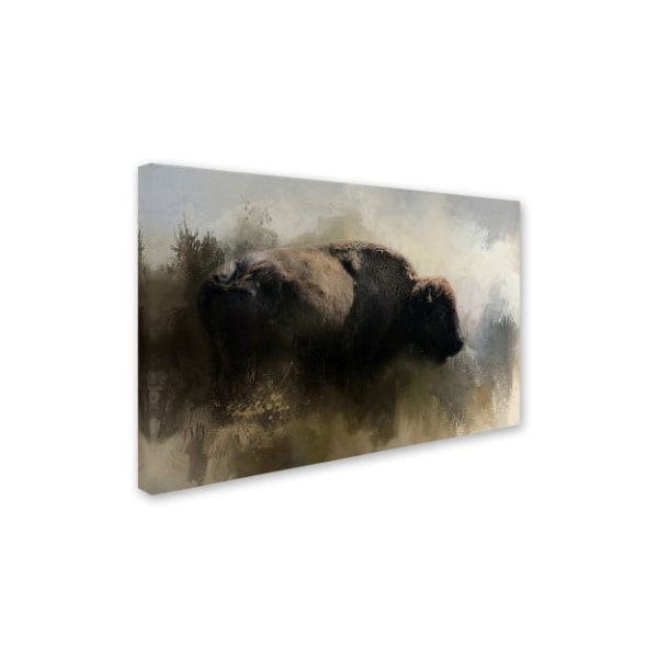 Jai Johnson 'Abstract American Bison' Canvas Art,22x32